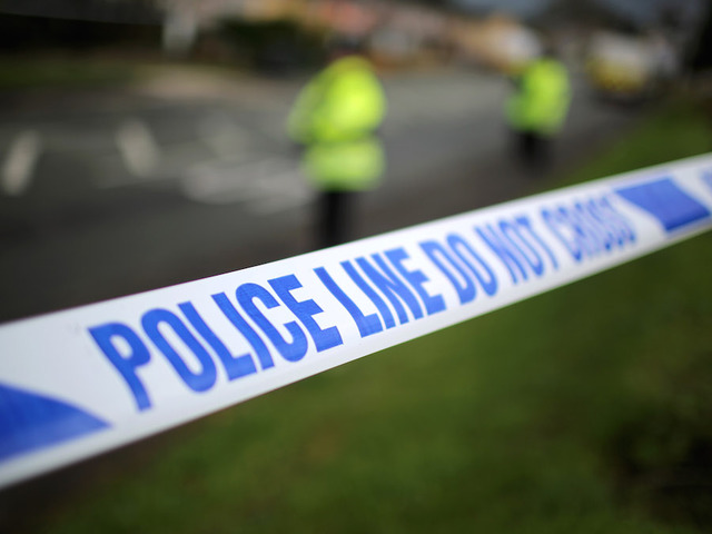 Boy's puppy stolen at gunpoint during evening walk