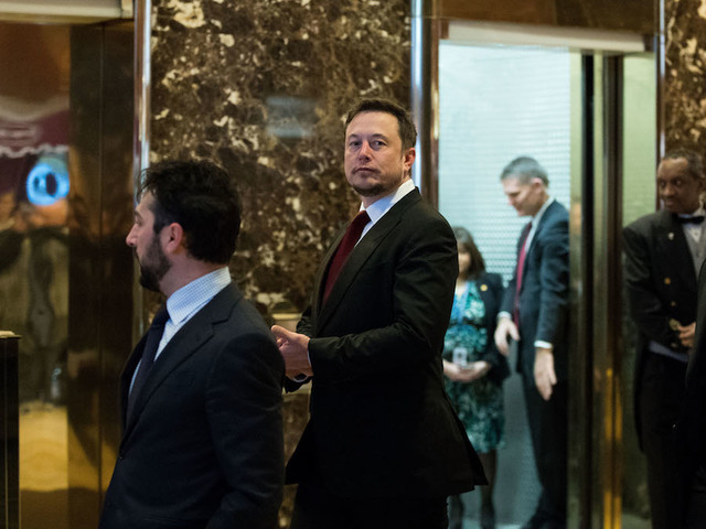 Elon Musk predicts World War III