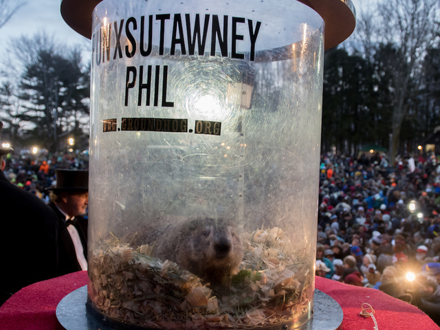 Punxsutawney Phil sees his shadow