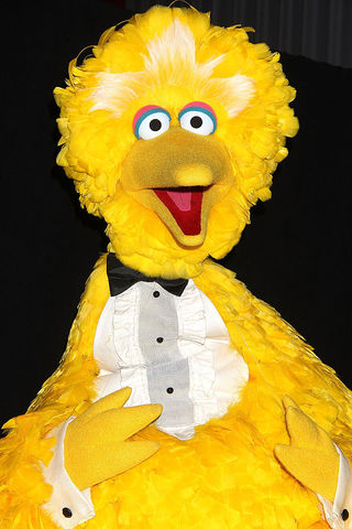 Bye, bye Big Bird: Actor stepping down from role