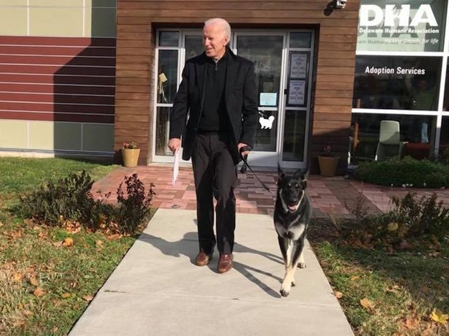 Joe Biden's new friend? A rescue dog named Major